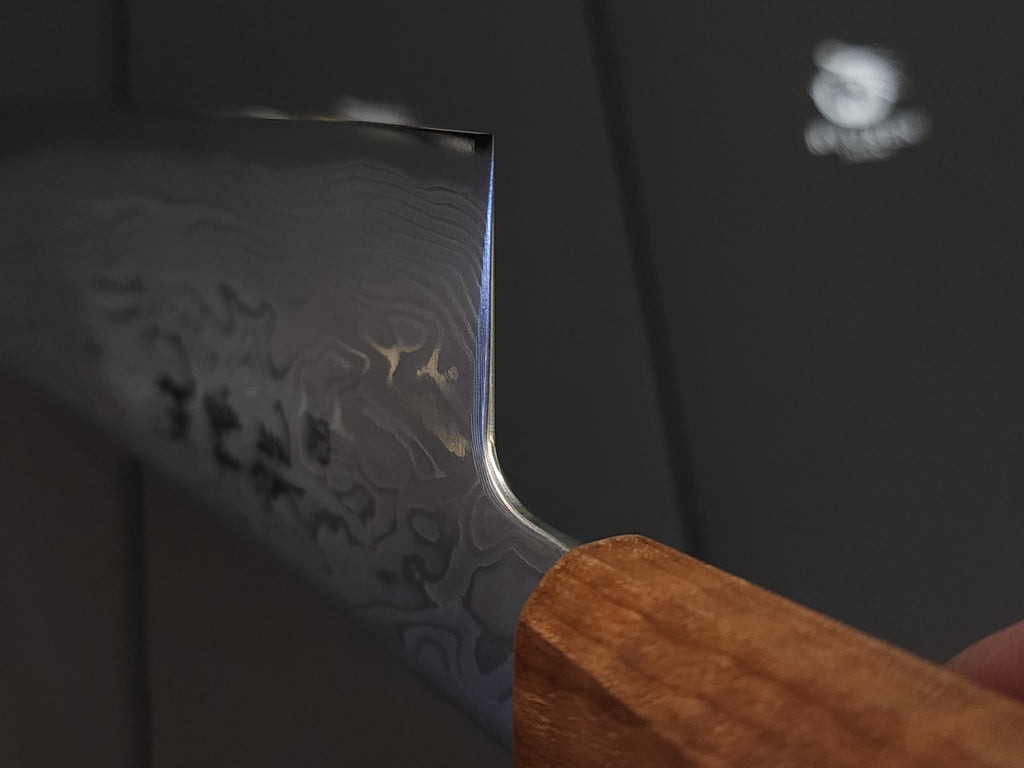 Ryusen Fukakuryu ATS314 Gyuto 210mm