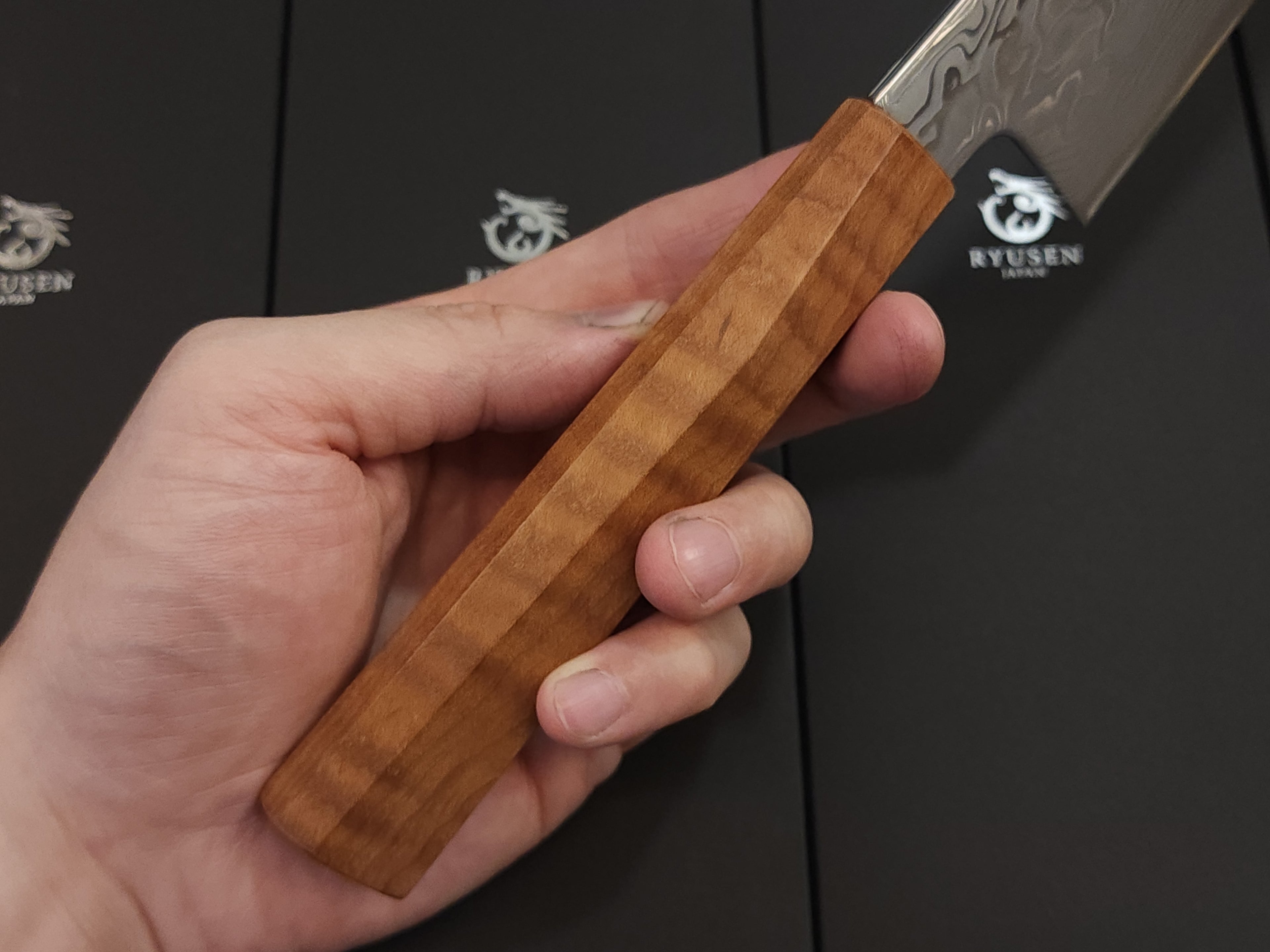 Ryusen Fukakuryu ATS314 Gyuto 210mm