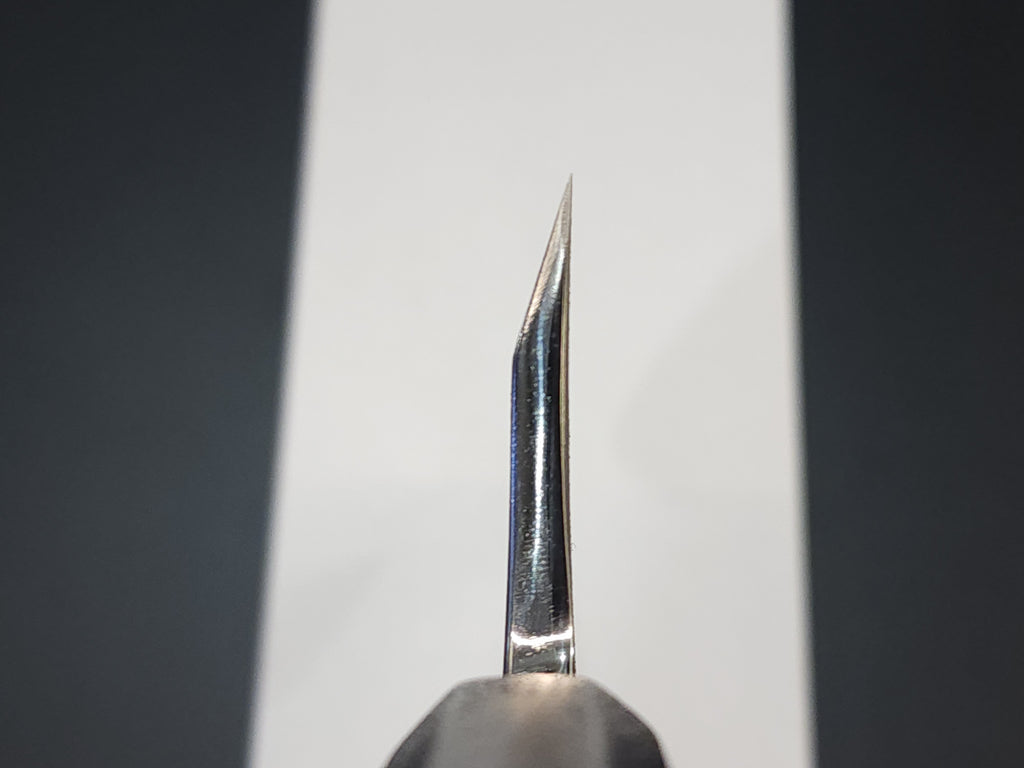 Kagekiyo Ginsan Deba w/ Saya