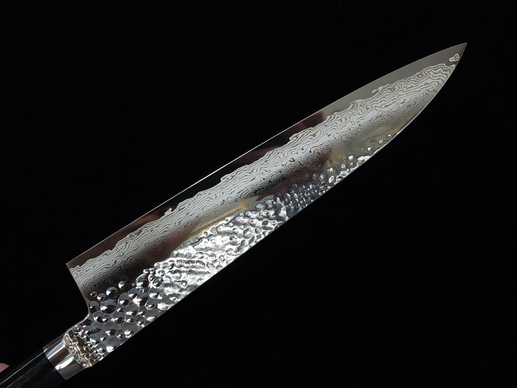 Ryusen Tanganryu VG-10 Gyuto 210mm