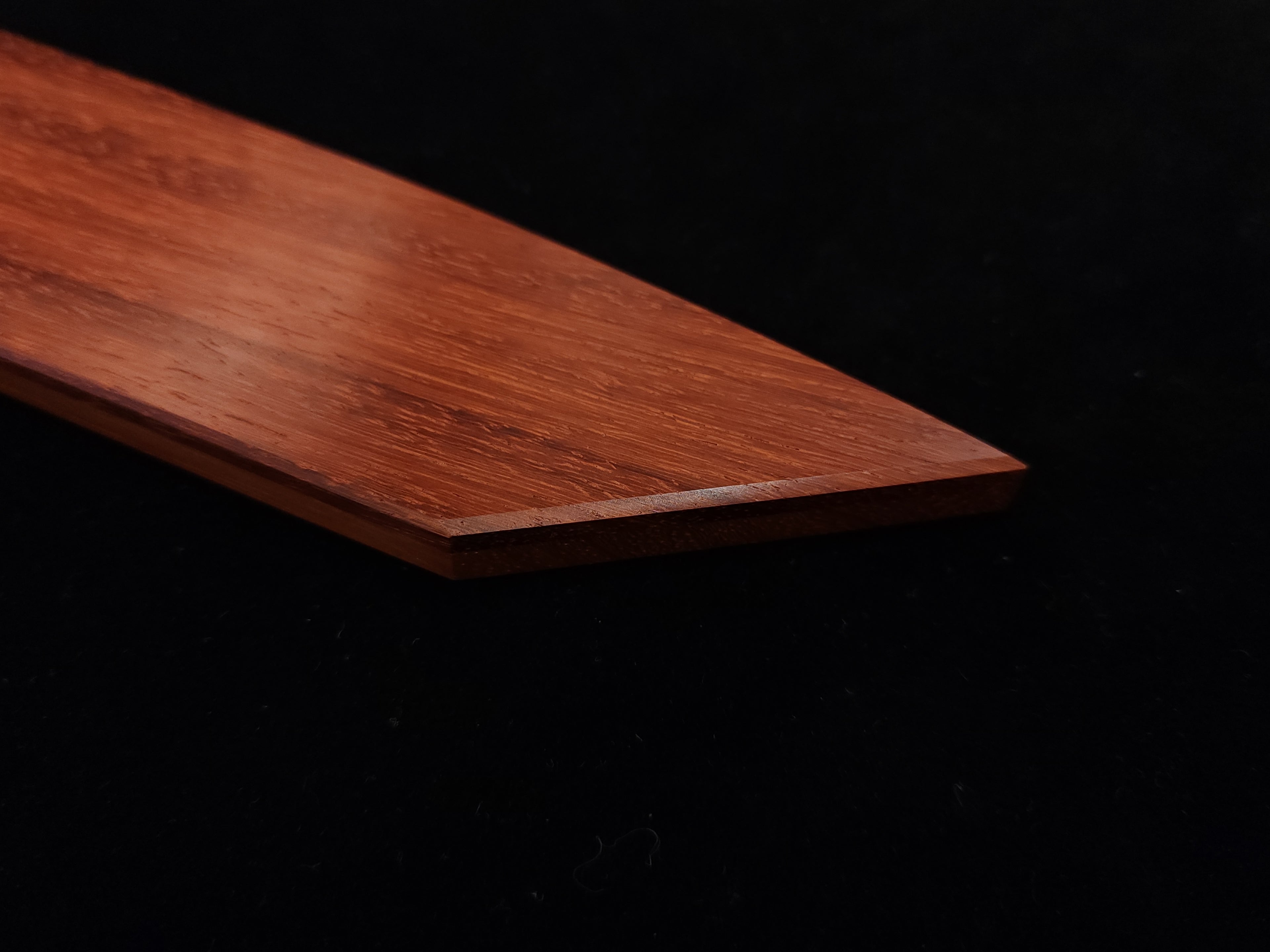 Takayuki Shibata Koutetsu SG-2 Sujihiki 270mm w/ Rosewood Saya