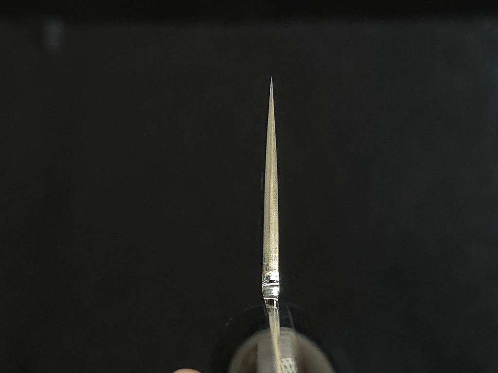 Ryusen Blazen SG-2 Gyuto 270mm