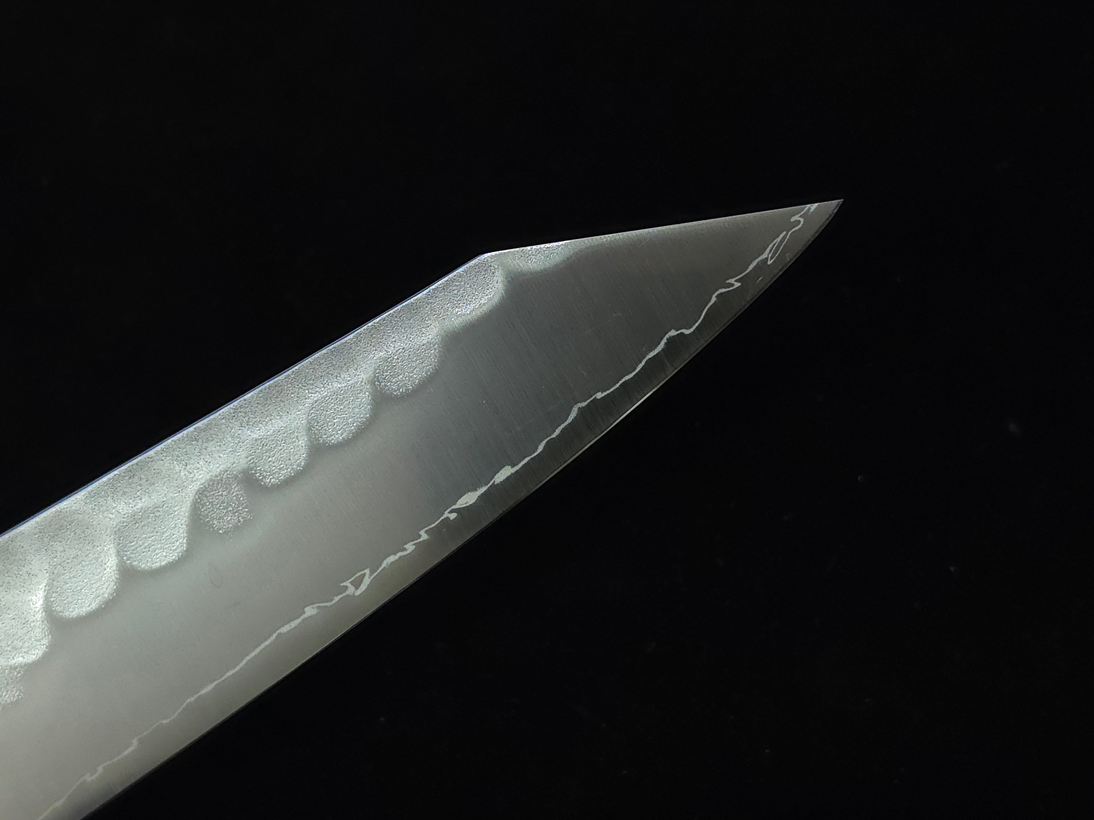 Ryusen Blazen Wa SG-2 Gyuto 210mm