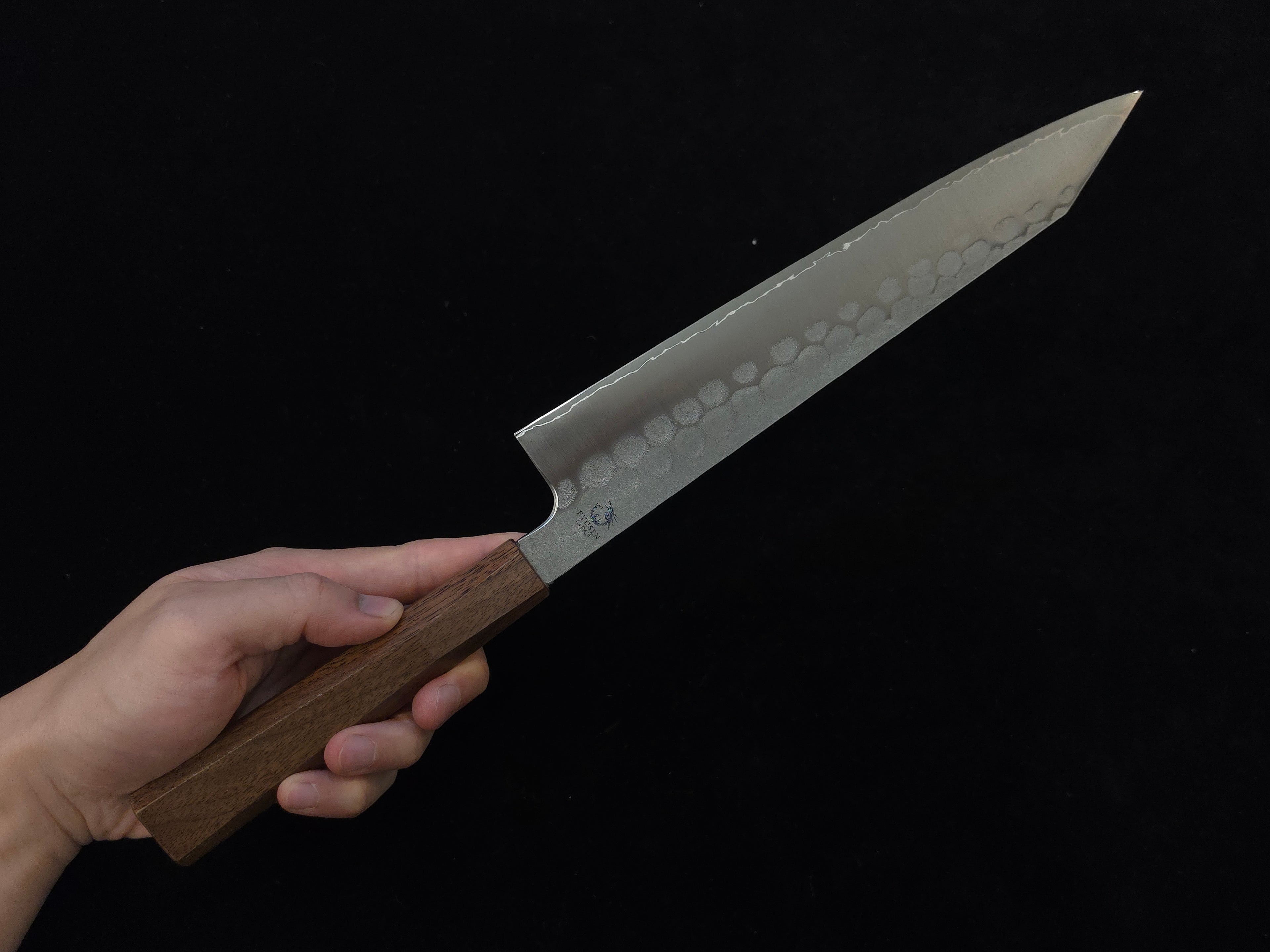 Ryusen Blazen Wa SG-2 Gyuto 240mm