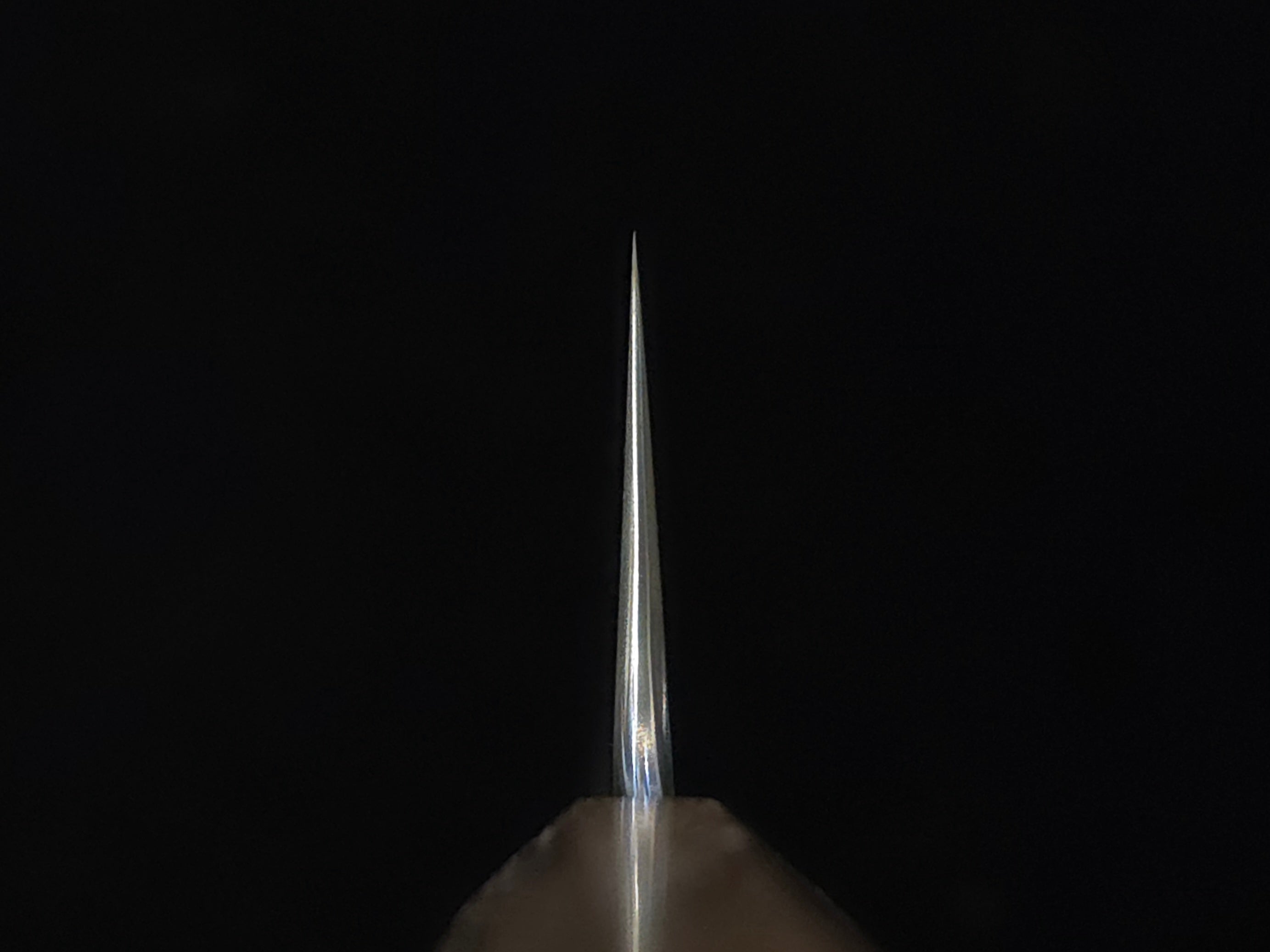 Ryusen Blazen Wa SG-2 Gyuto 210mm