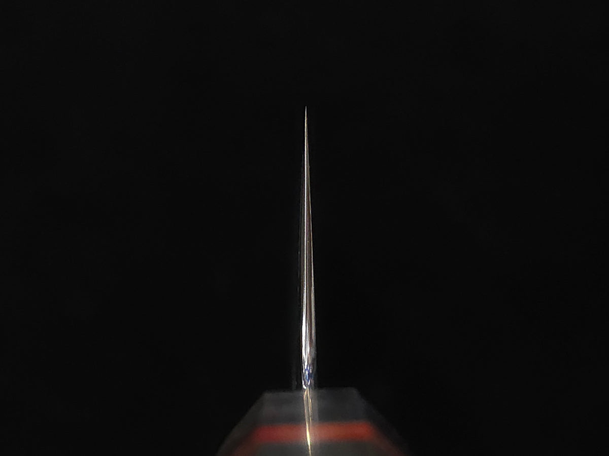 Oukokuryu Kai SG-2 Gyuto 240mm