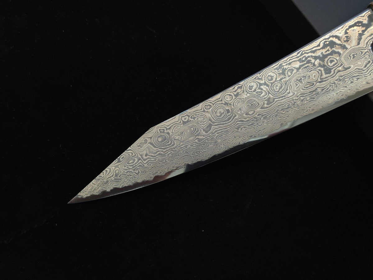 Oukokuryu Kai SG-2 Gyuto 210mm