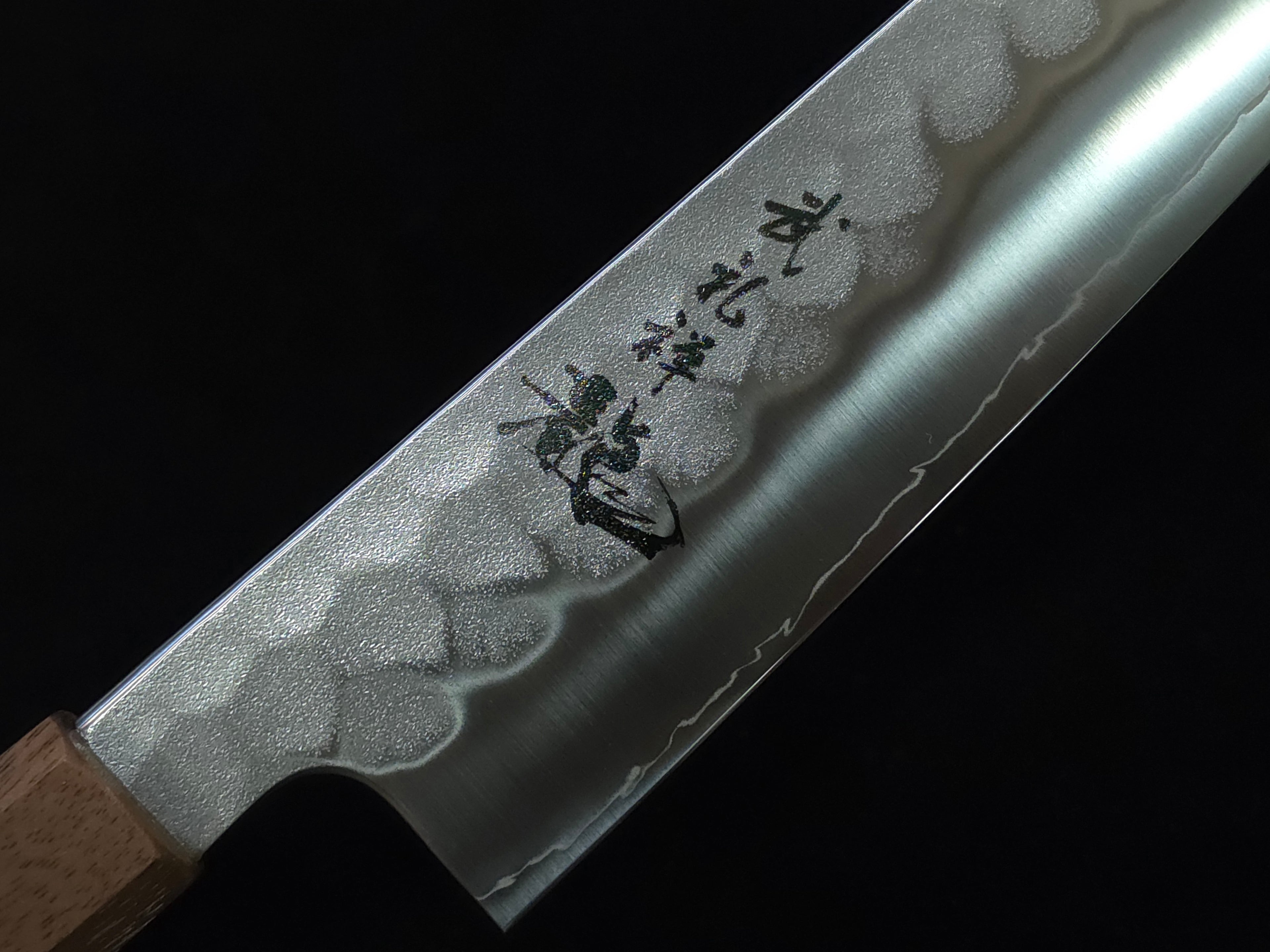 Ryusen Blazen Wa SG-2 Gyuto 210mm