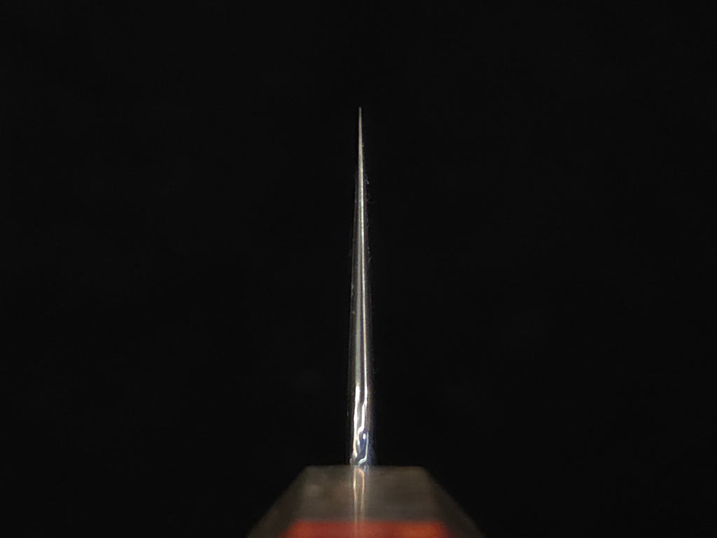 Oukokuryu Kai SG-2 Gyuto 210mm