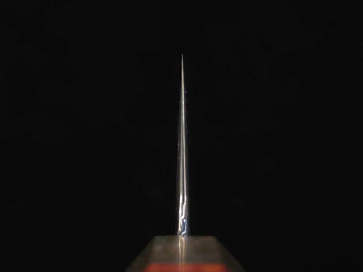 Oukokuryu Kai SG-2 Gyuto 210mm