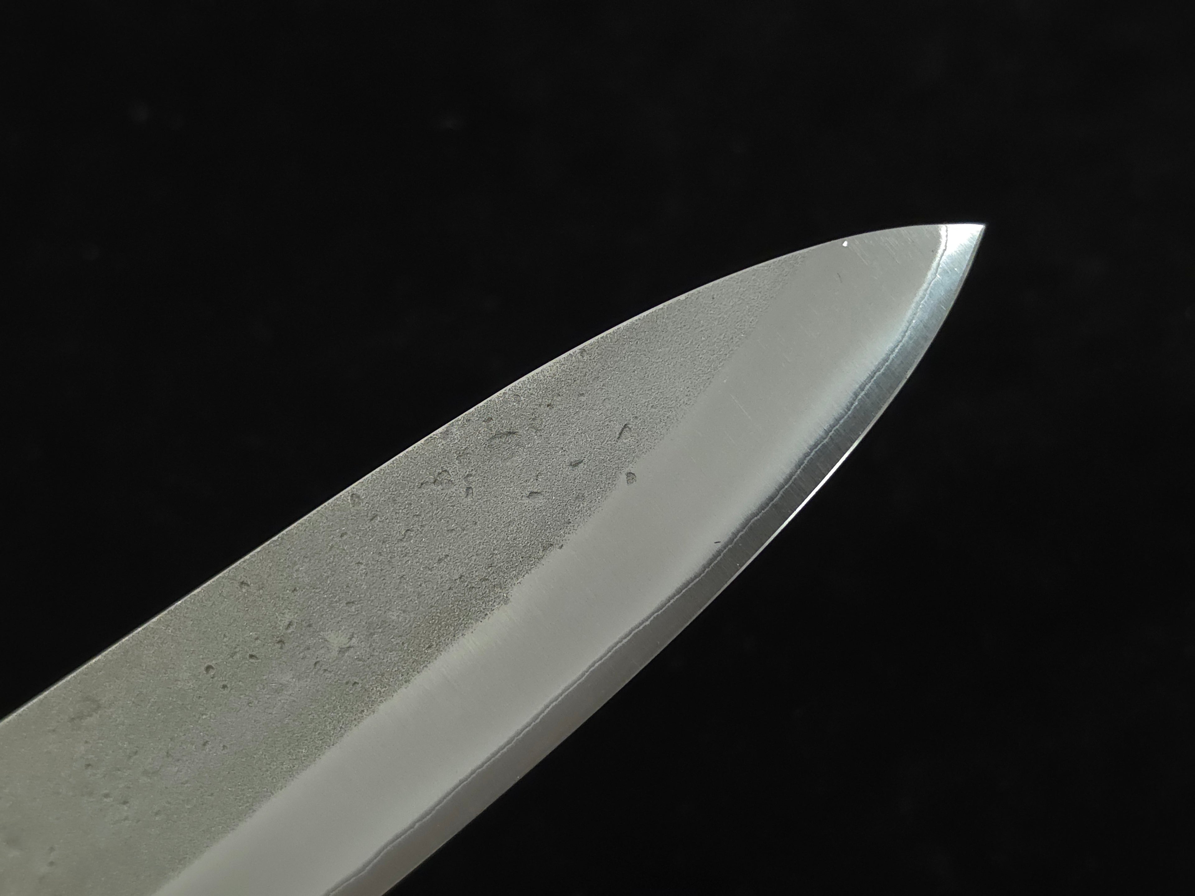Tadafusa Aogami 2 Nashiji Gyuto 210mm