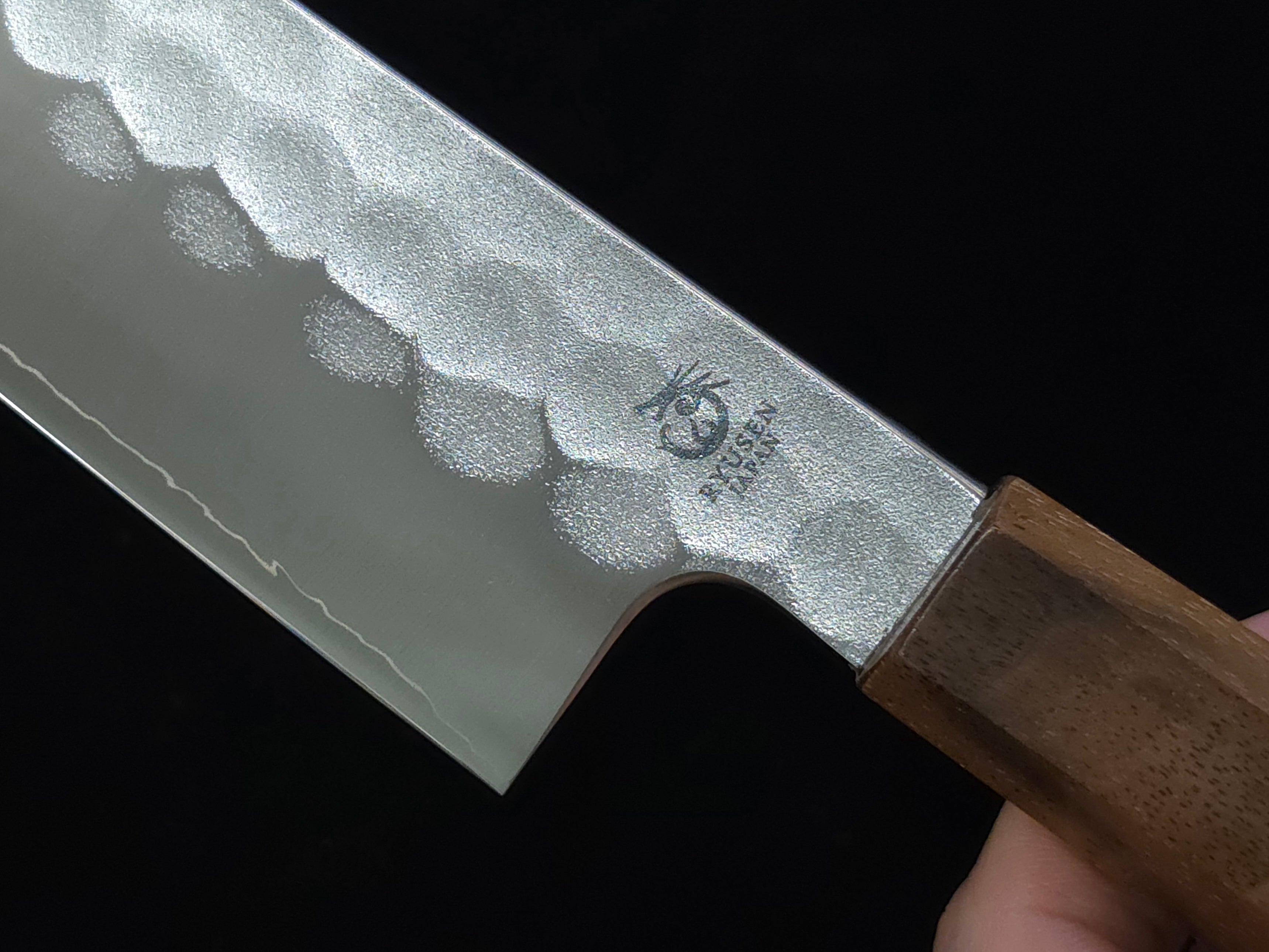 Ryusen Blazen Wa SG-2 Gyuto 210mm