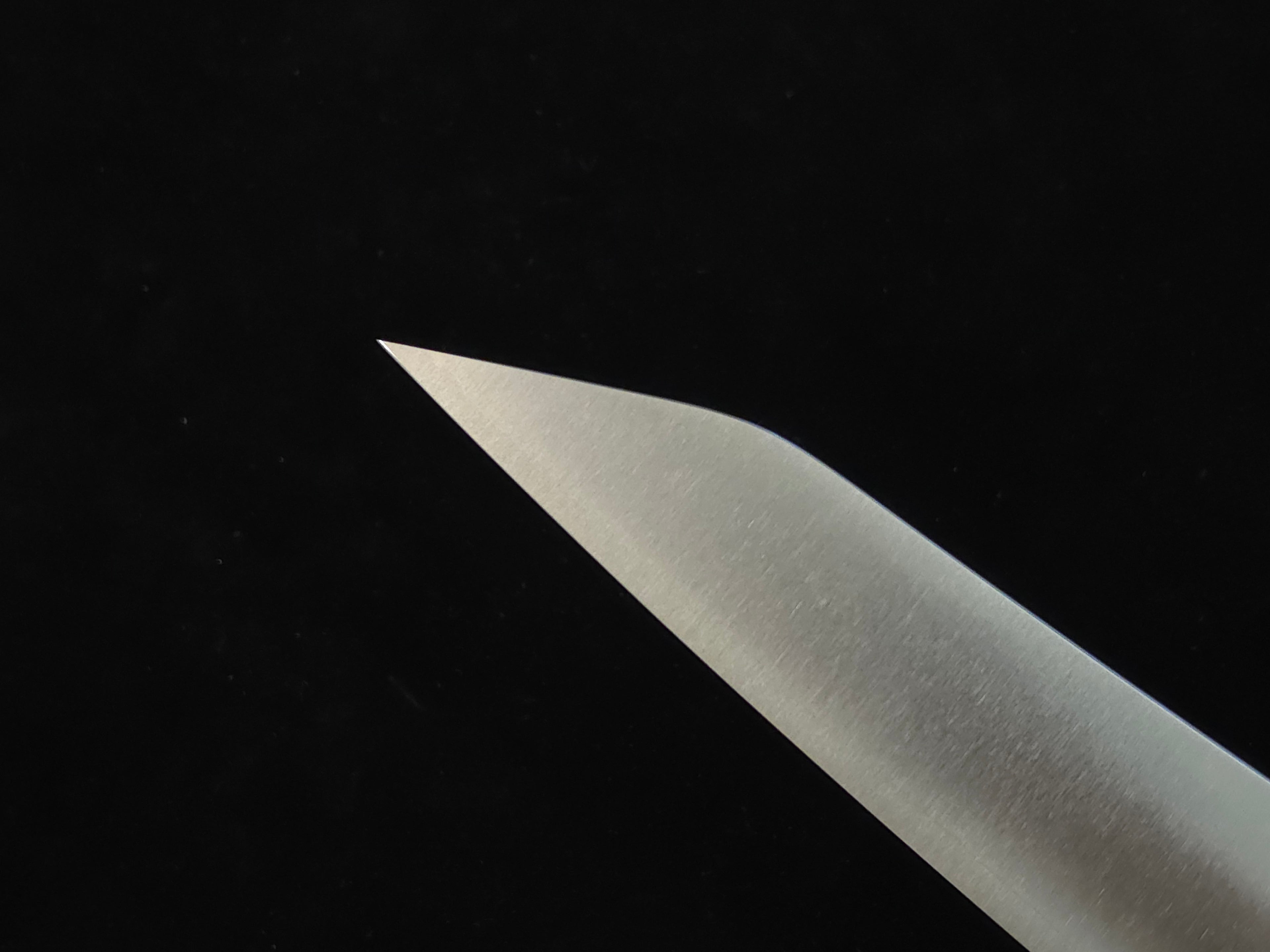 Takayuki Shibata Koutetsu Chromax Gyuto 240mm