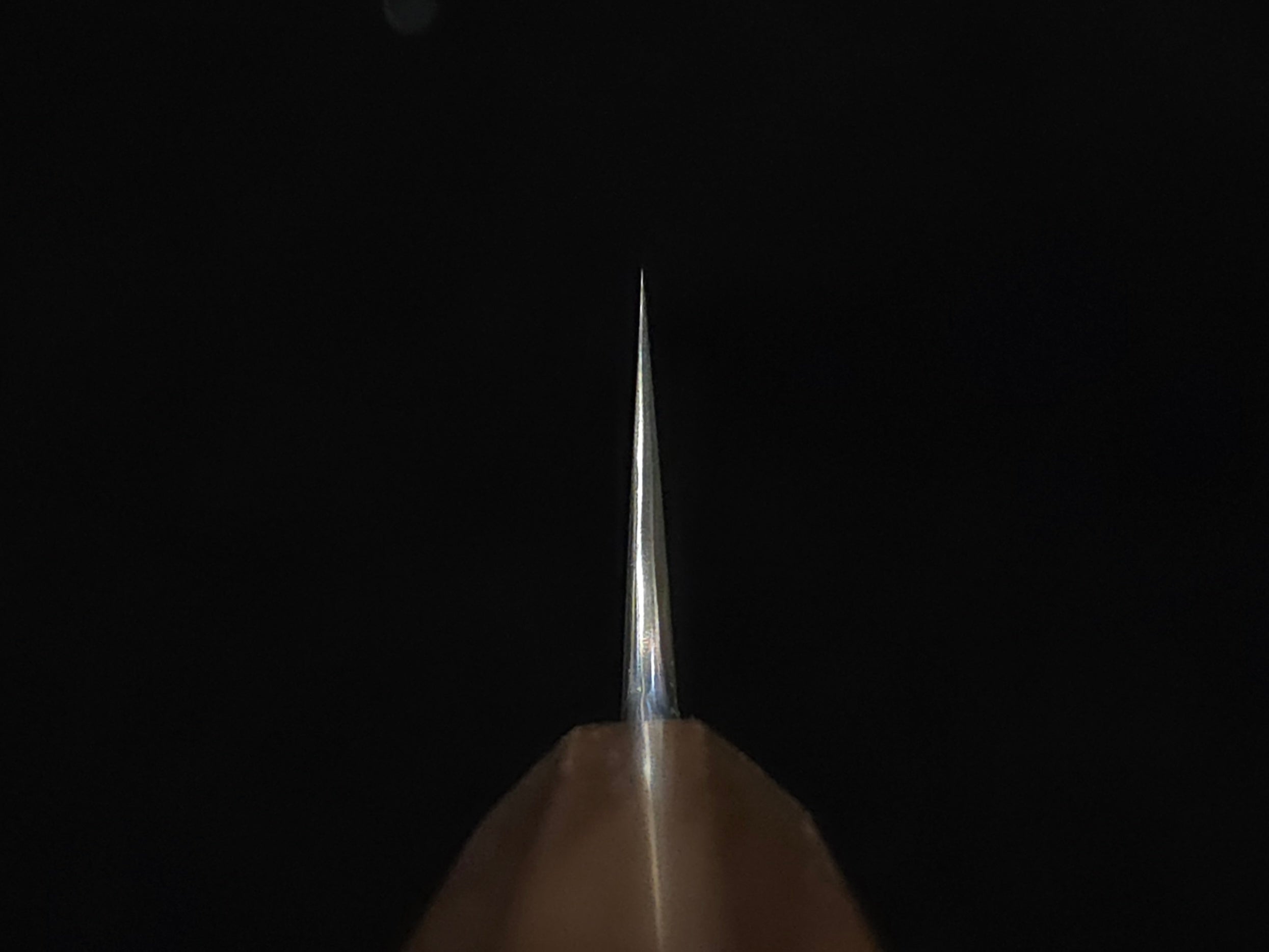 Ryusen Blazen Wa SG-2 Sujihiki 260mm