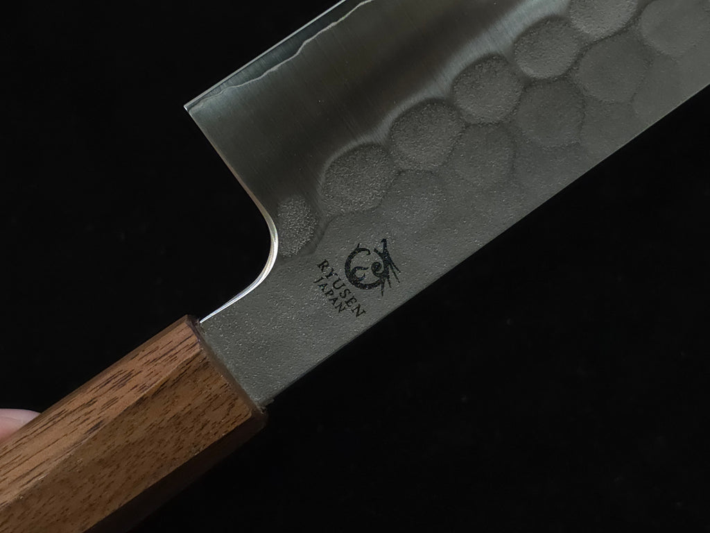 Ryusen Blazen Wa SG-2 Gyuto 240mm