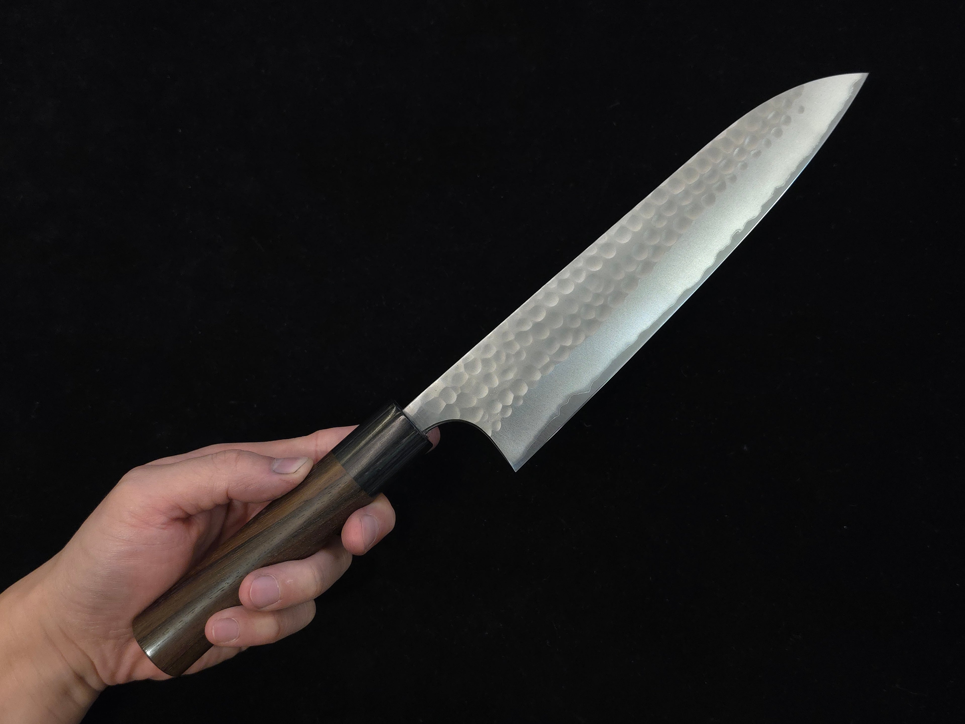 Anryu Aogami 2 Tsuchime Gyuto 210mm
