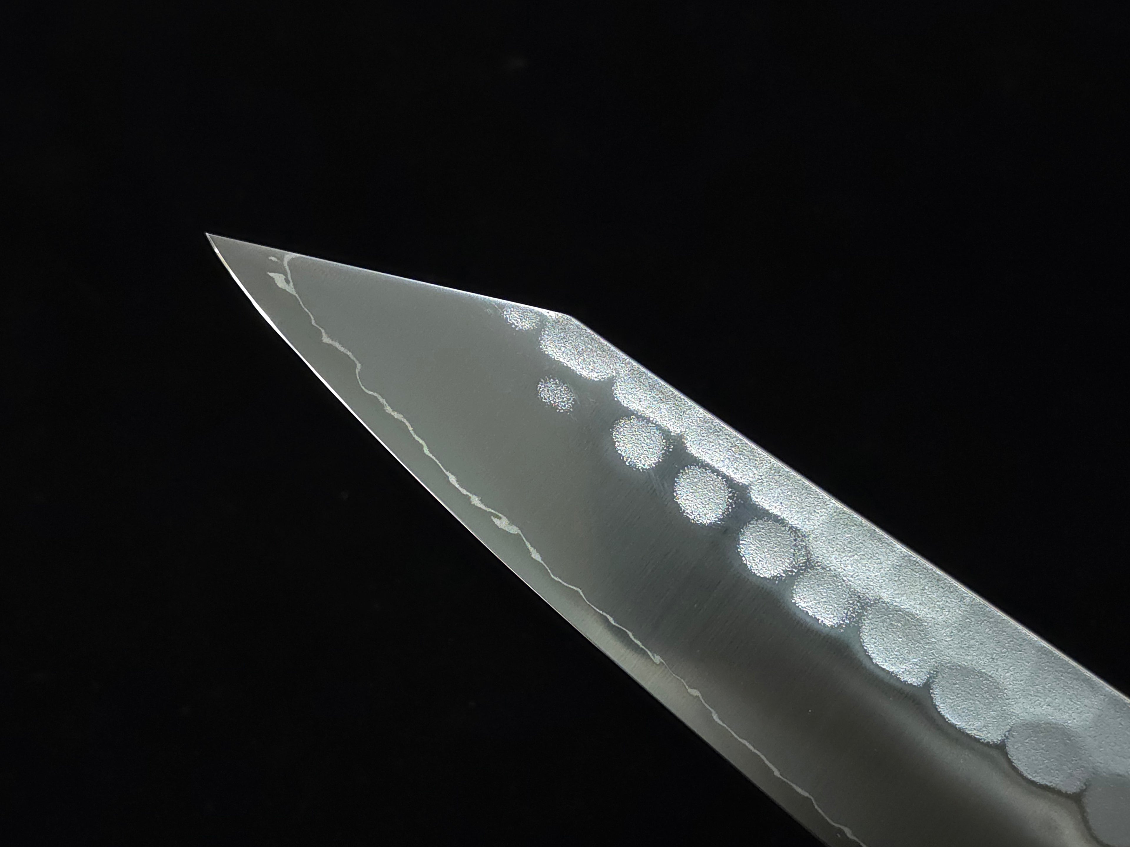 Ryusen Blazen Wa SG-2 Gyuto 210mm