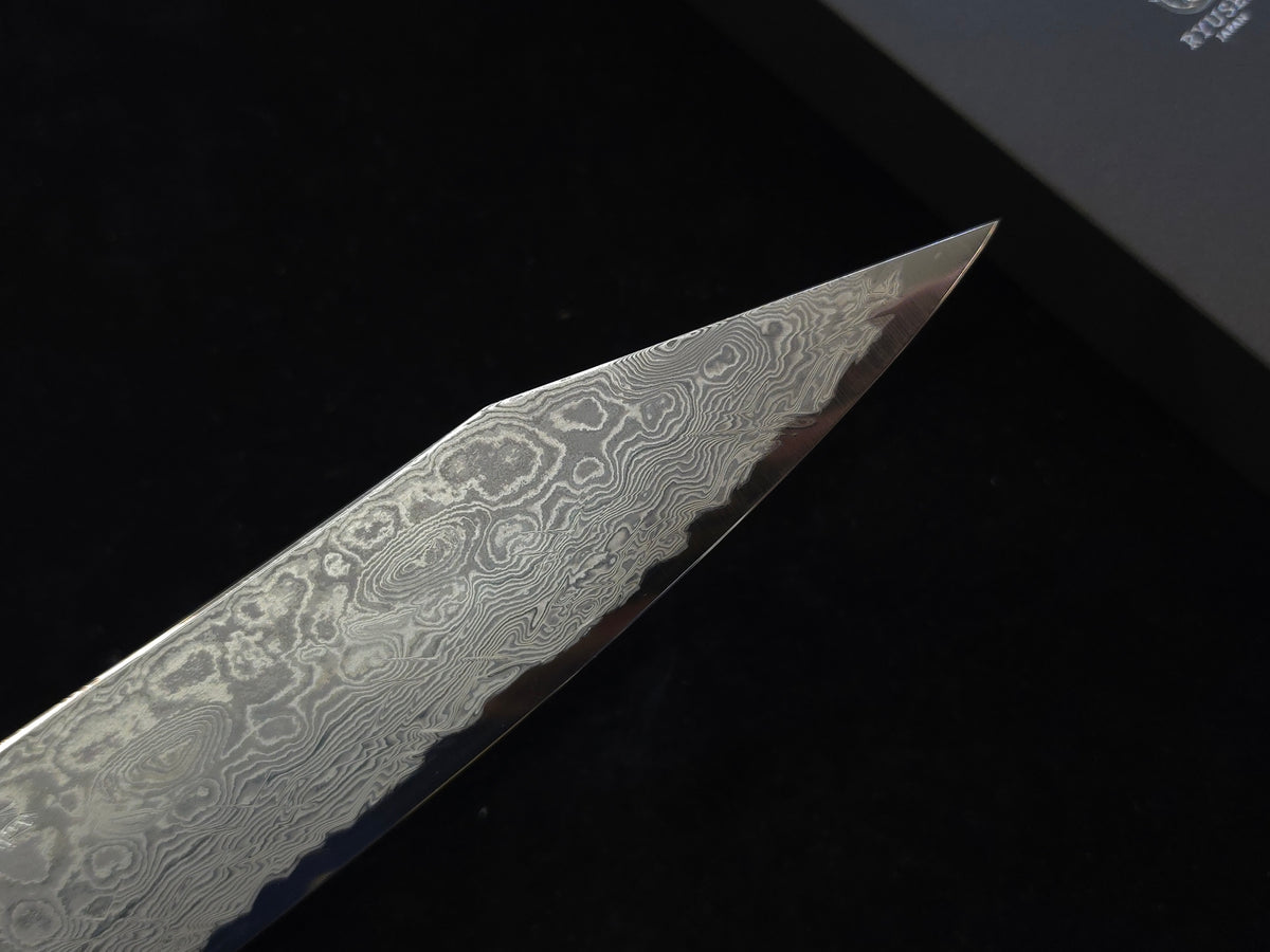 Oukokuryu Kai SG-2 Gyuto 210mm