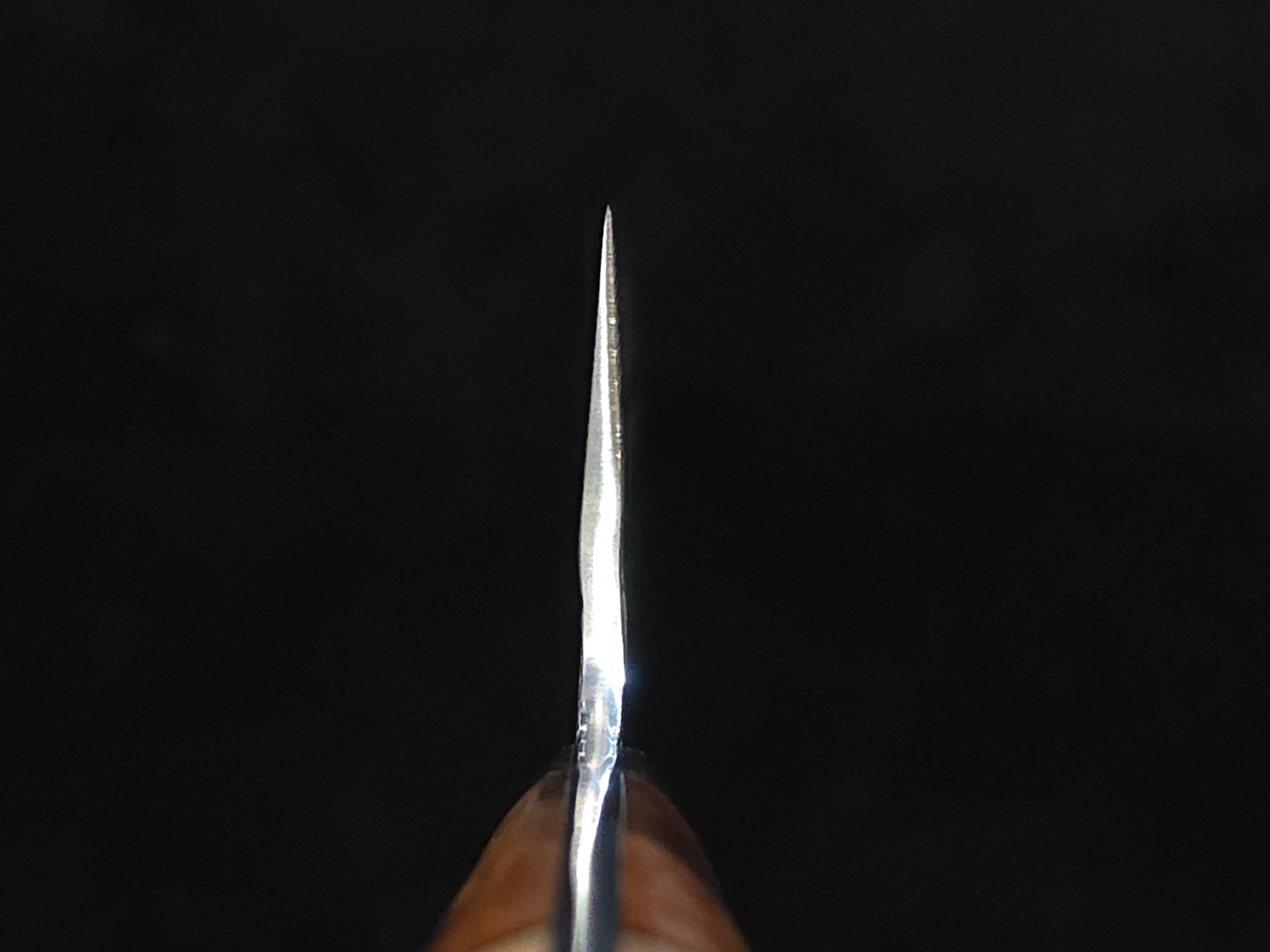 Takeshi Saji Tsuchime VG-10 Gyuto 210mm