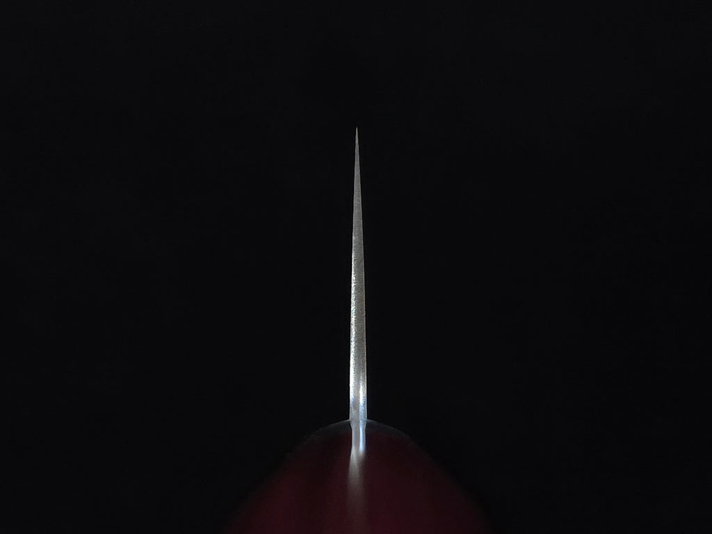 Takamura SG-2 Gyuto 210mm