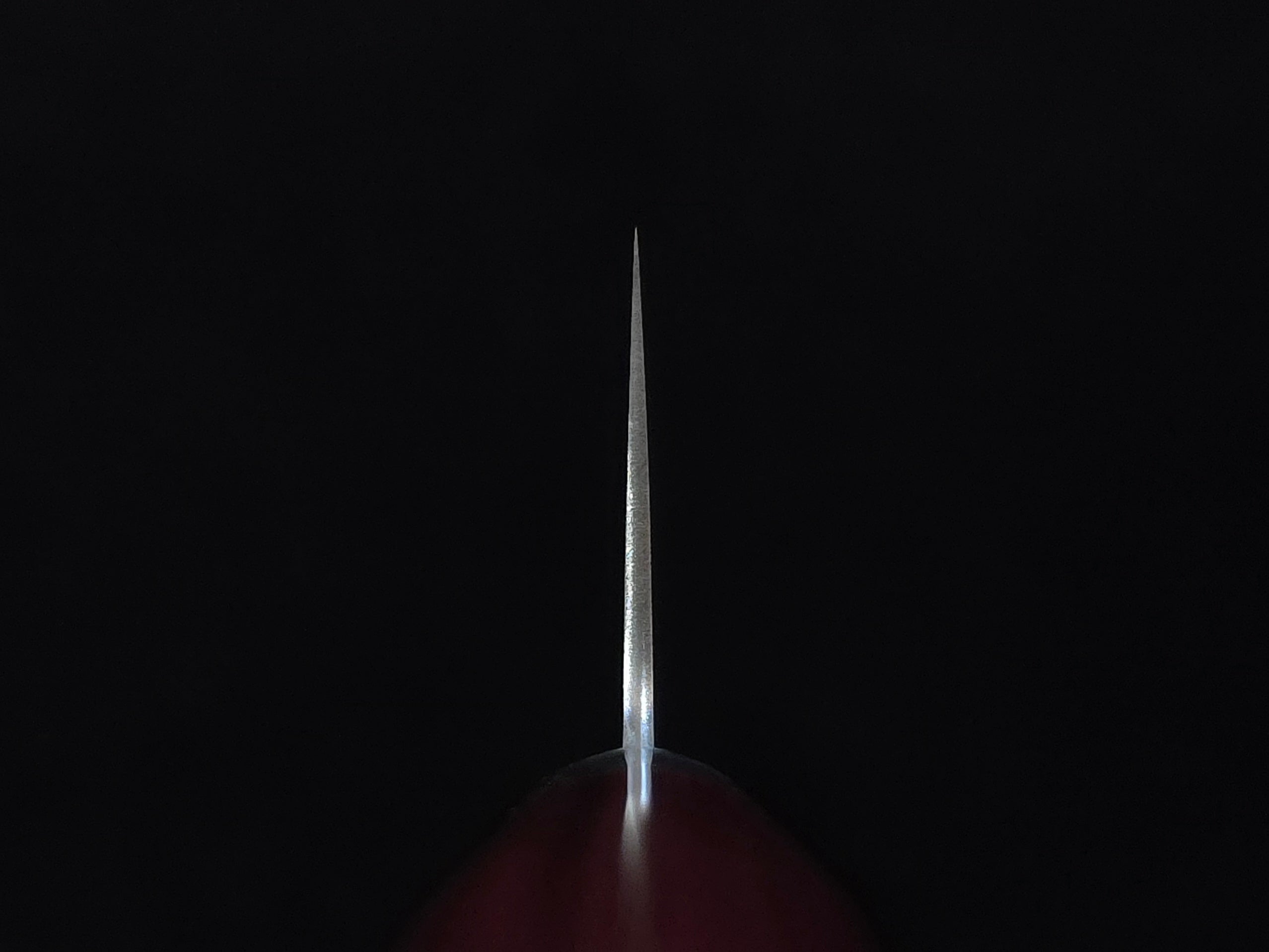 Takamura SG-2 Gyuto 210mm