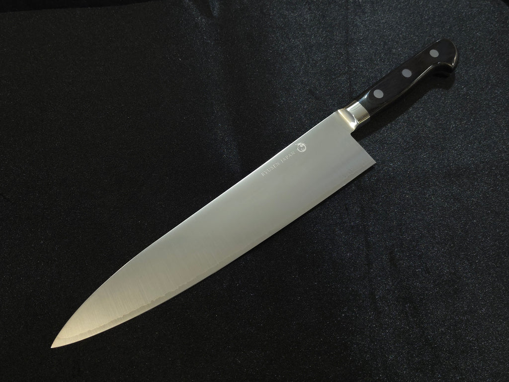 Ryusen Blazen SG-2 Gyuto 270mm