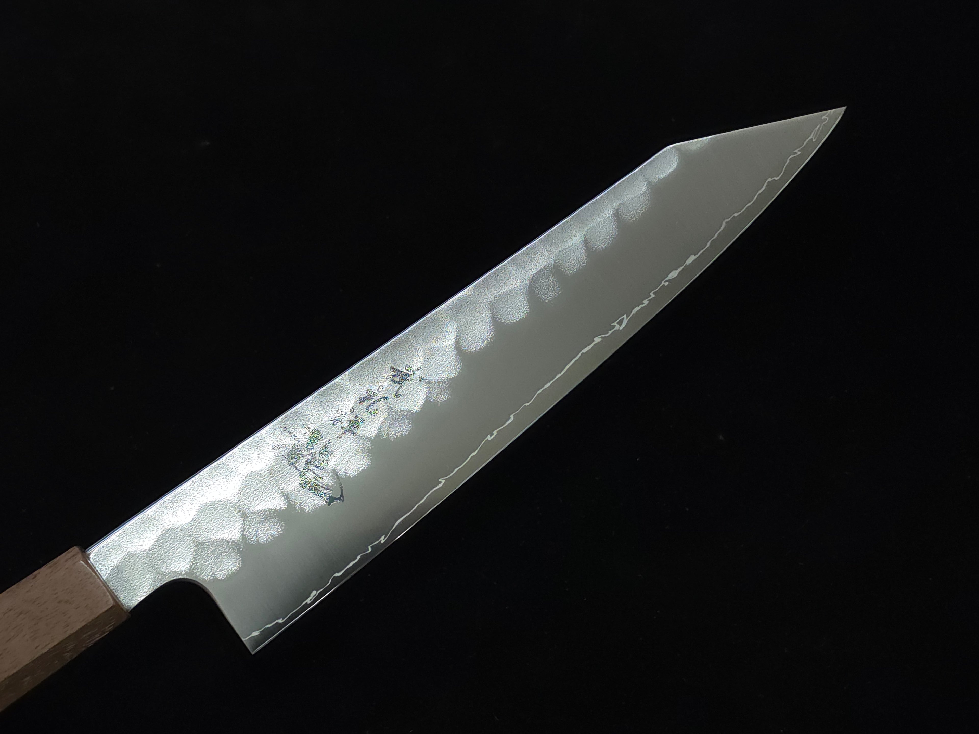 Ryusen Blazen Wa SG-2 Gyuto 210mm